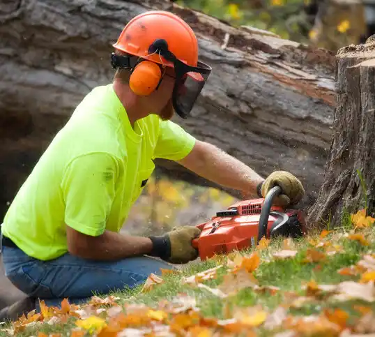 tree services Rockwell